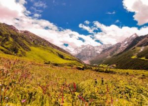 Uttarakhand Valley of Flowers Trek