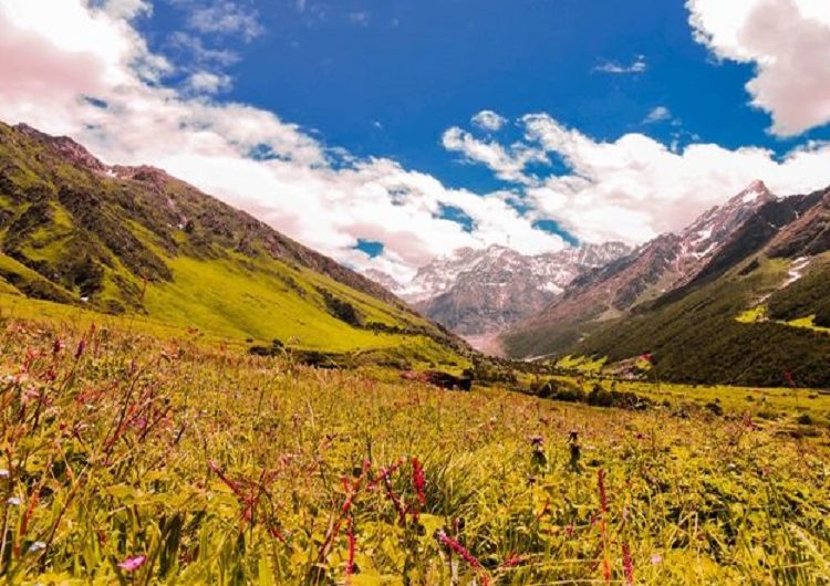 Uttarakhand Valley of Flowers Trek