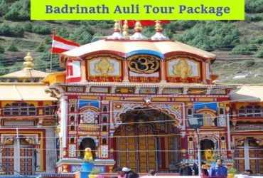Best Badrinath Temple,Uttarakhand tour package
